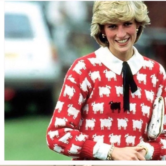 Famous Diana Sheep Sweater - Picture 1 of 14